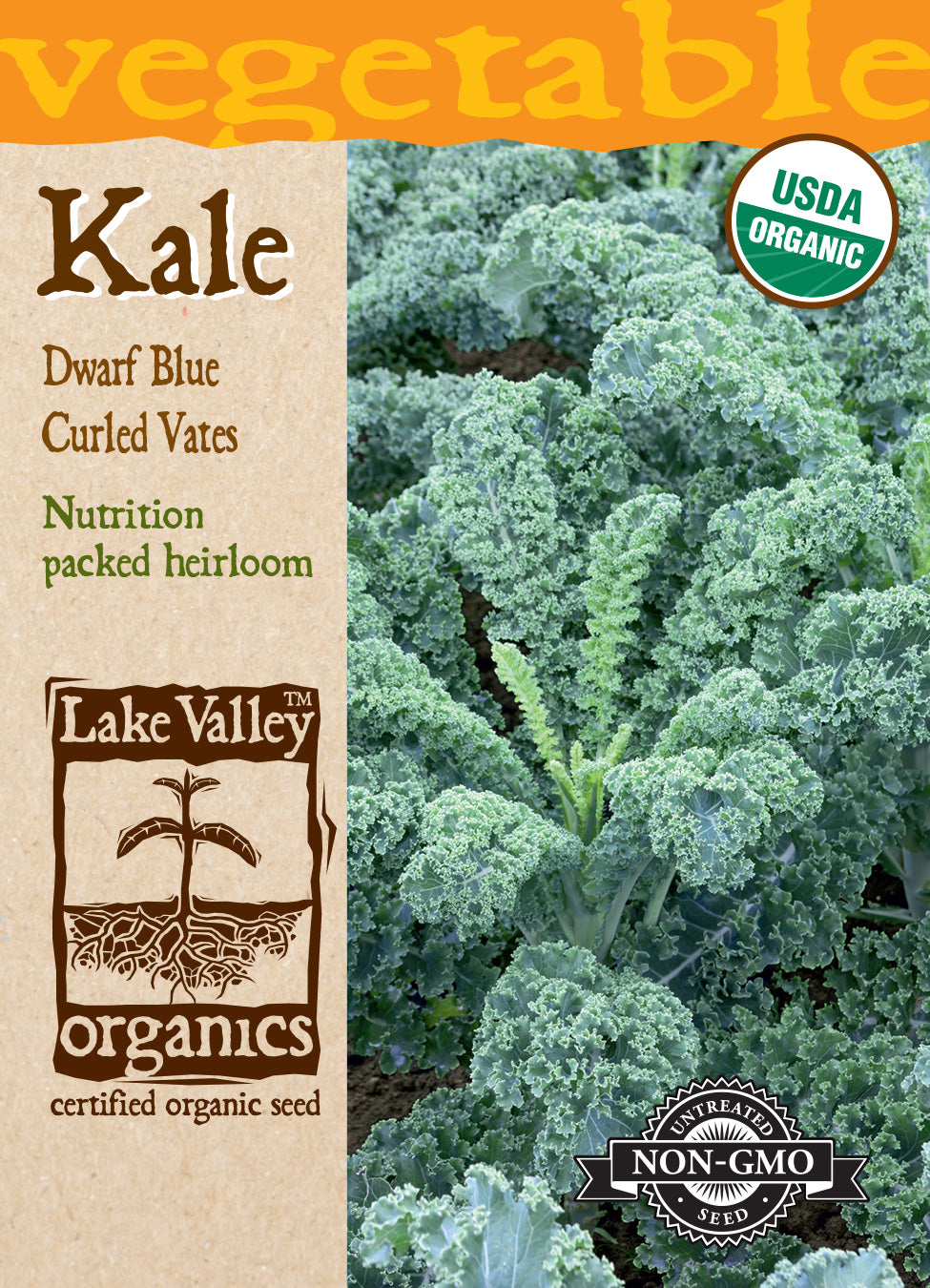 Kale Dwarf Blue Curled Vates - Item #4481