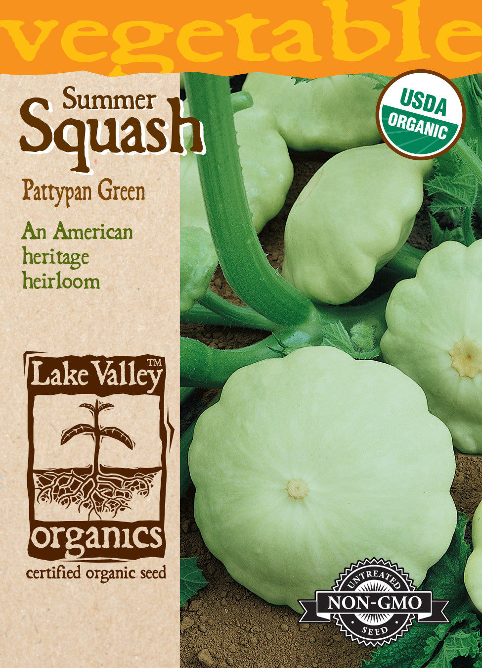 Squash (Summer) Pattypan Green - Item #4485