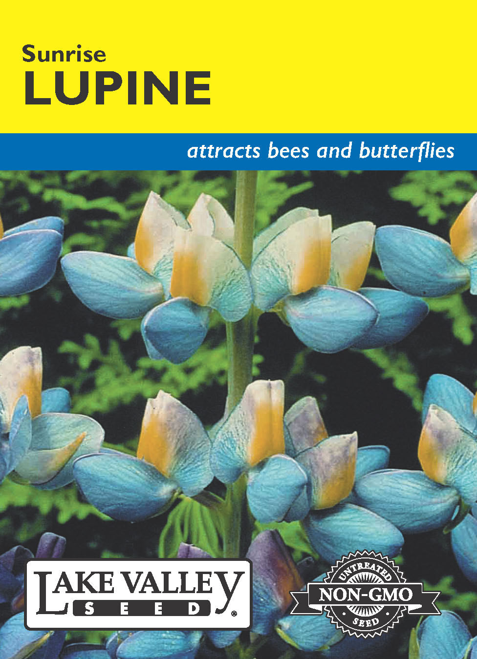 Lupine Sunrise - Item #4492