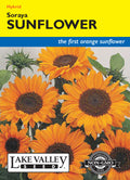 Sunflower Soraya Hybrid - Item #4496