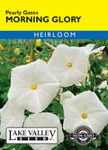 Morning Glory Pearly Gates - Item #452