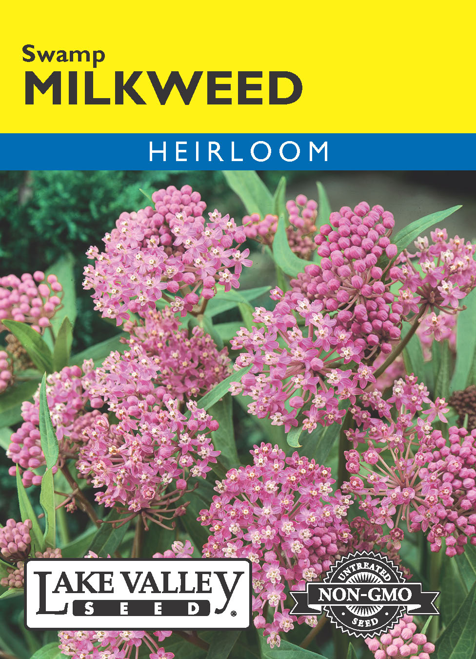 Milkweed Swamp (Eastern Native) - Item #4534