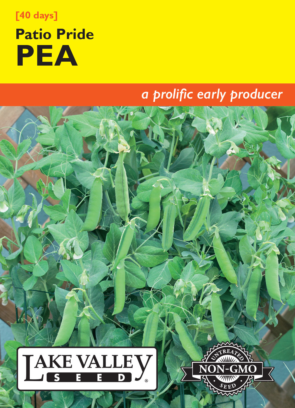 Pea Patio Pride - Item #4613