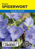 Spiderwort Prairie - Item #4681