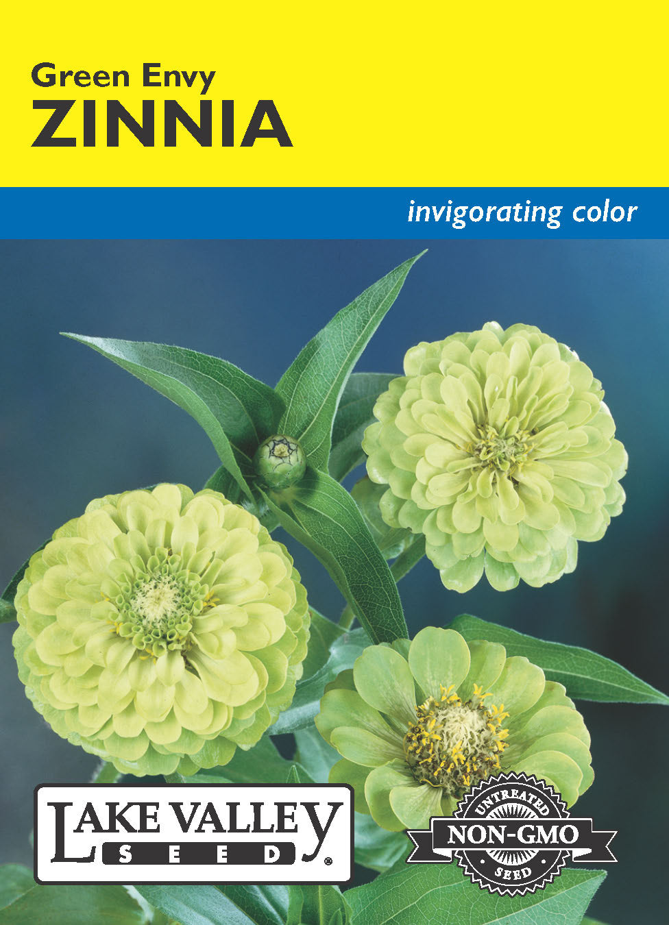 Zinnia Green Envy - Item #4682