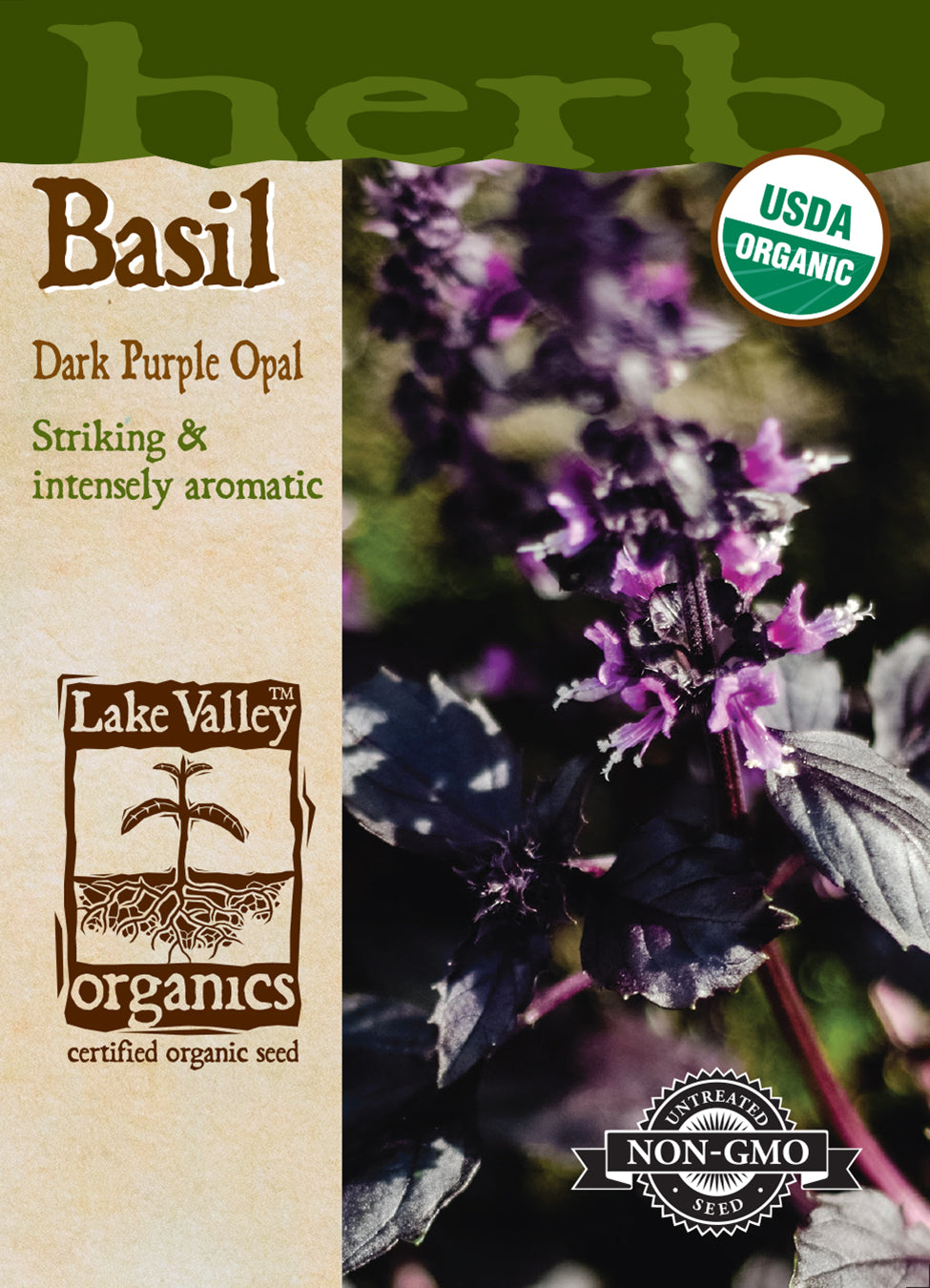 Basil Purple Dark Opal - Item #4684