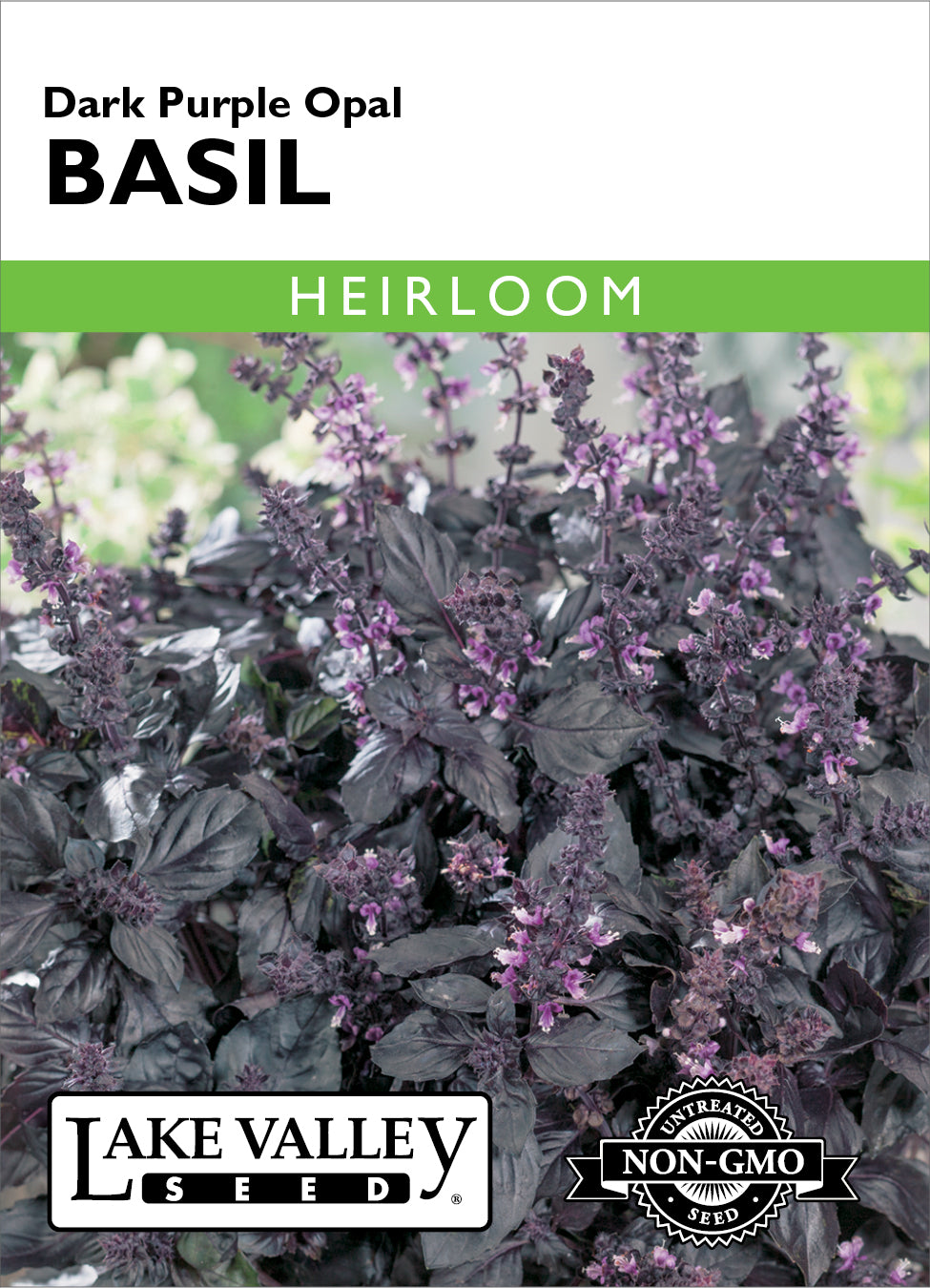 Basil Purple Dark Opal - Item #4685
