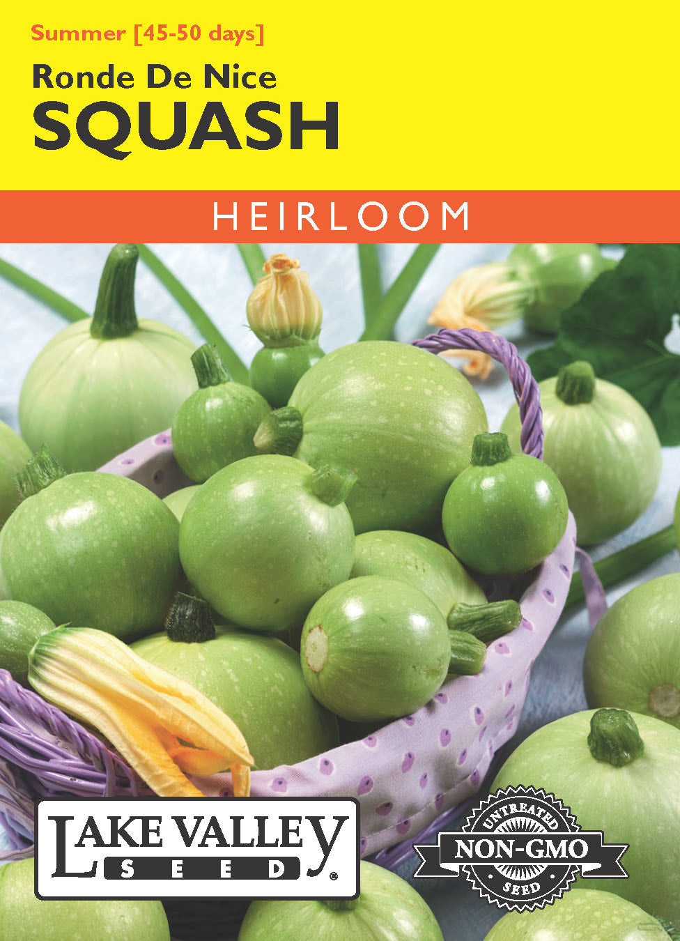 Squash (Summer) Ronde De Nice - Item #4689