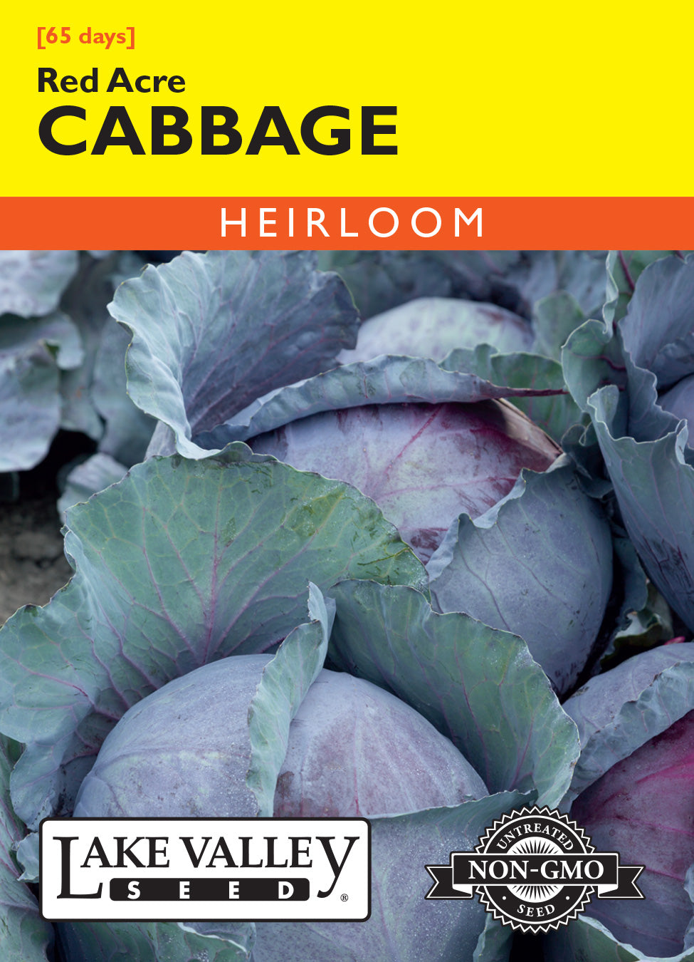 Cabbage Red Acre - Item #470