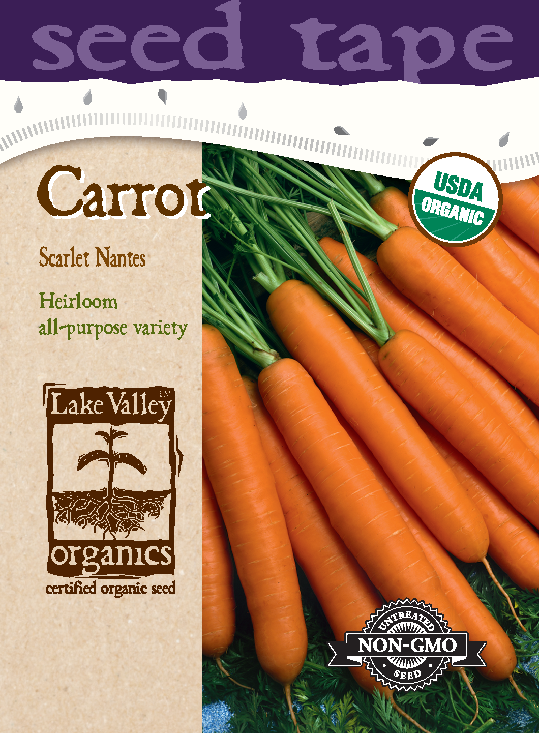 Carrot Scarlet Nantes - Item #4726