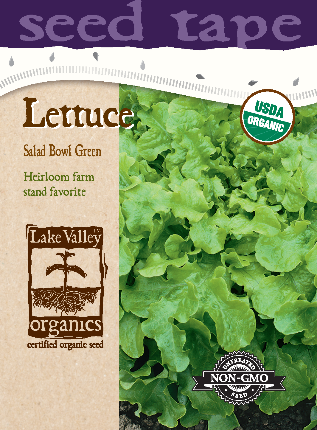 Lettuce Salad Bowl Green - Item #4727