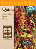 Quinoa Brightest Brilliant Rainbow - Item #4730