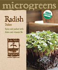 Radish Daikon - Item #4732