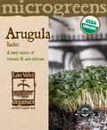 Arugula Rocket - Item #4734