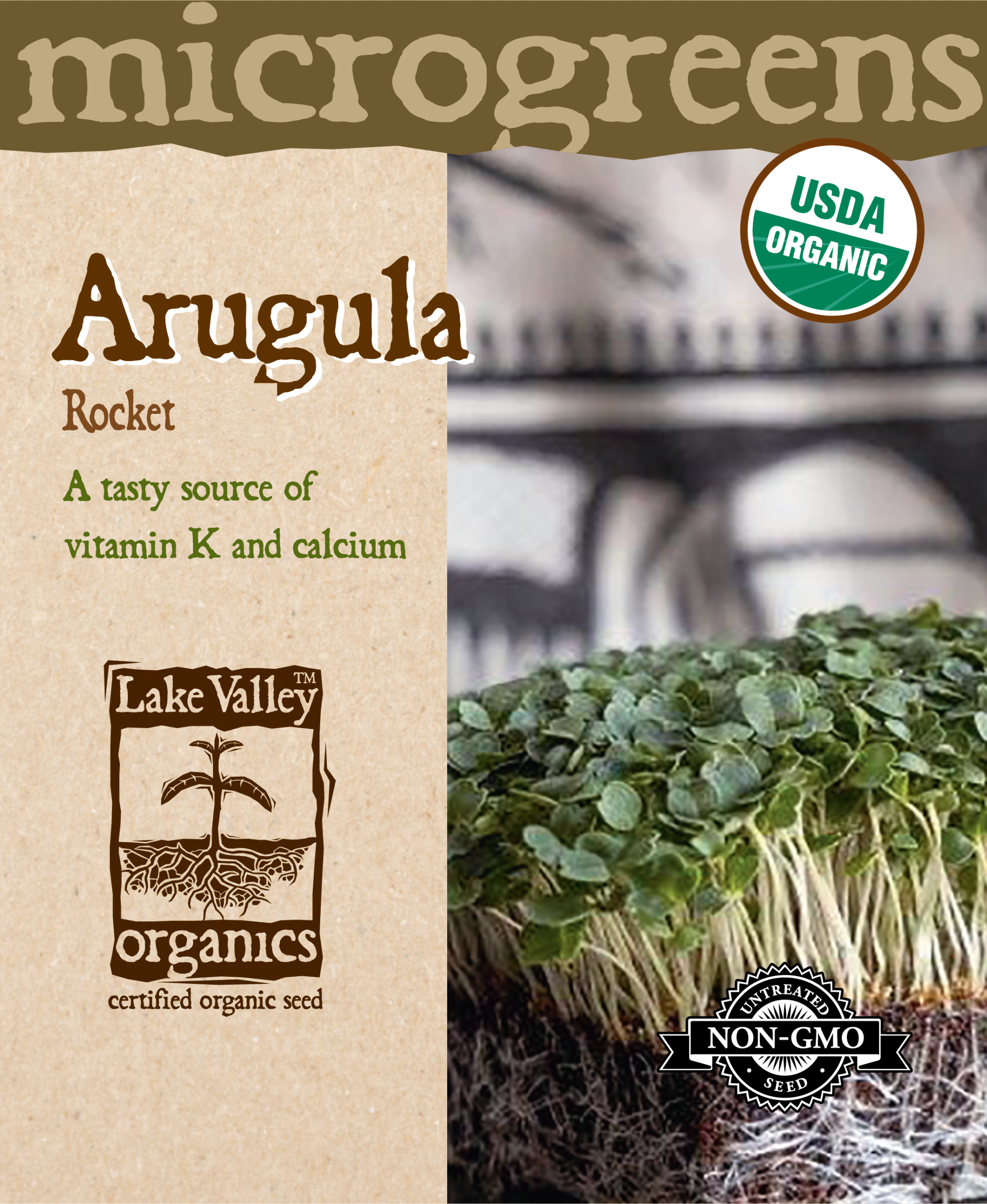 Arugula Rocket - Item #4734