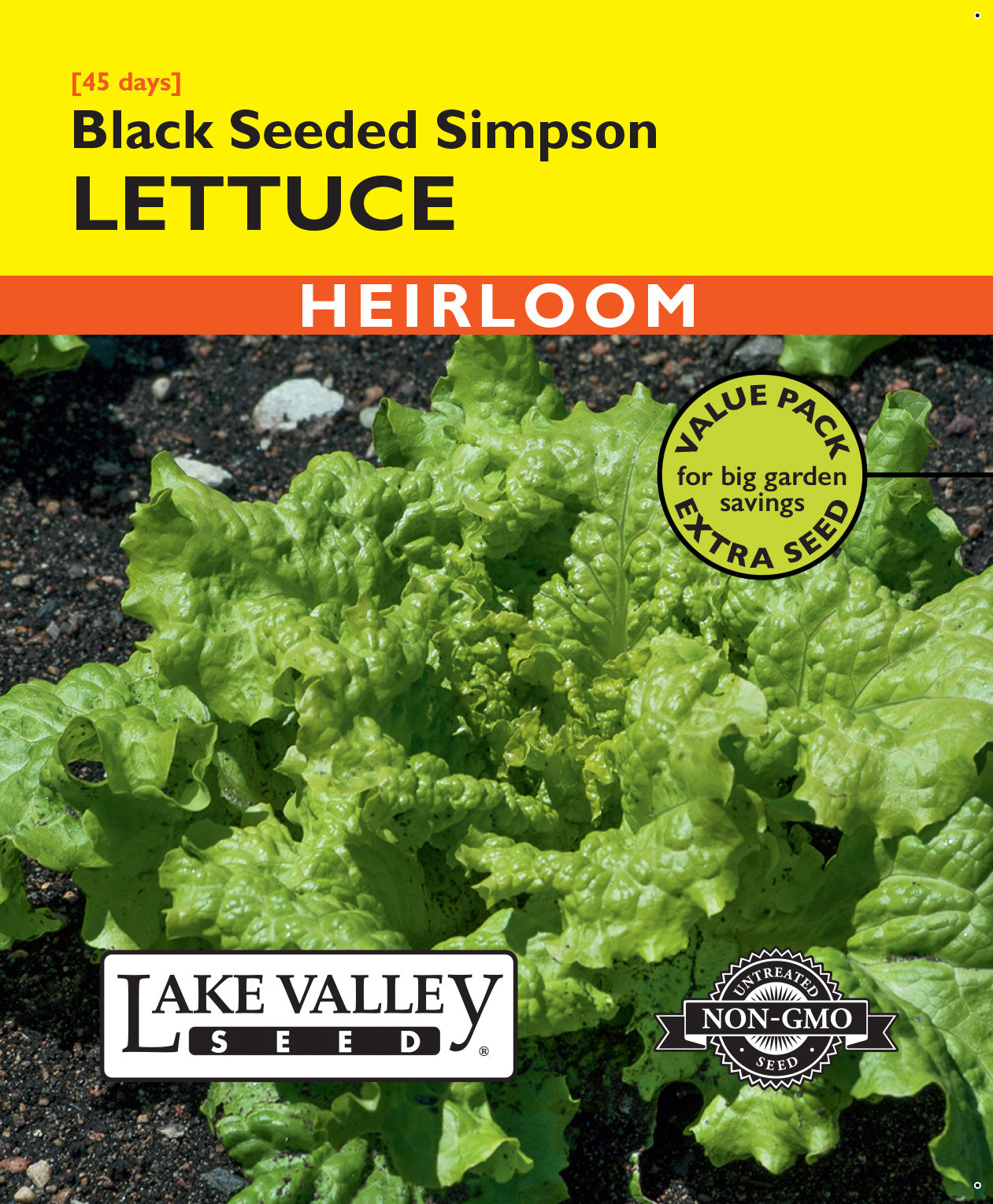 Lettuce Black Seeded Simpson - Item #485