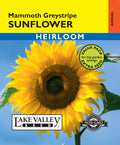 Sunflower Mammoth Greystripe - Item #499