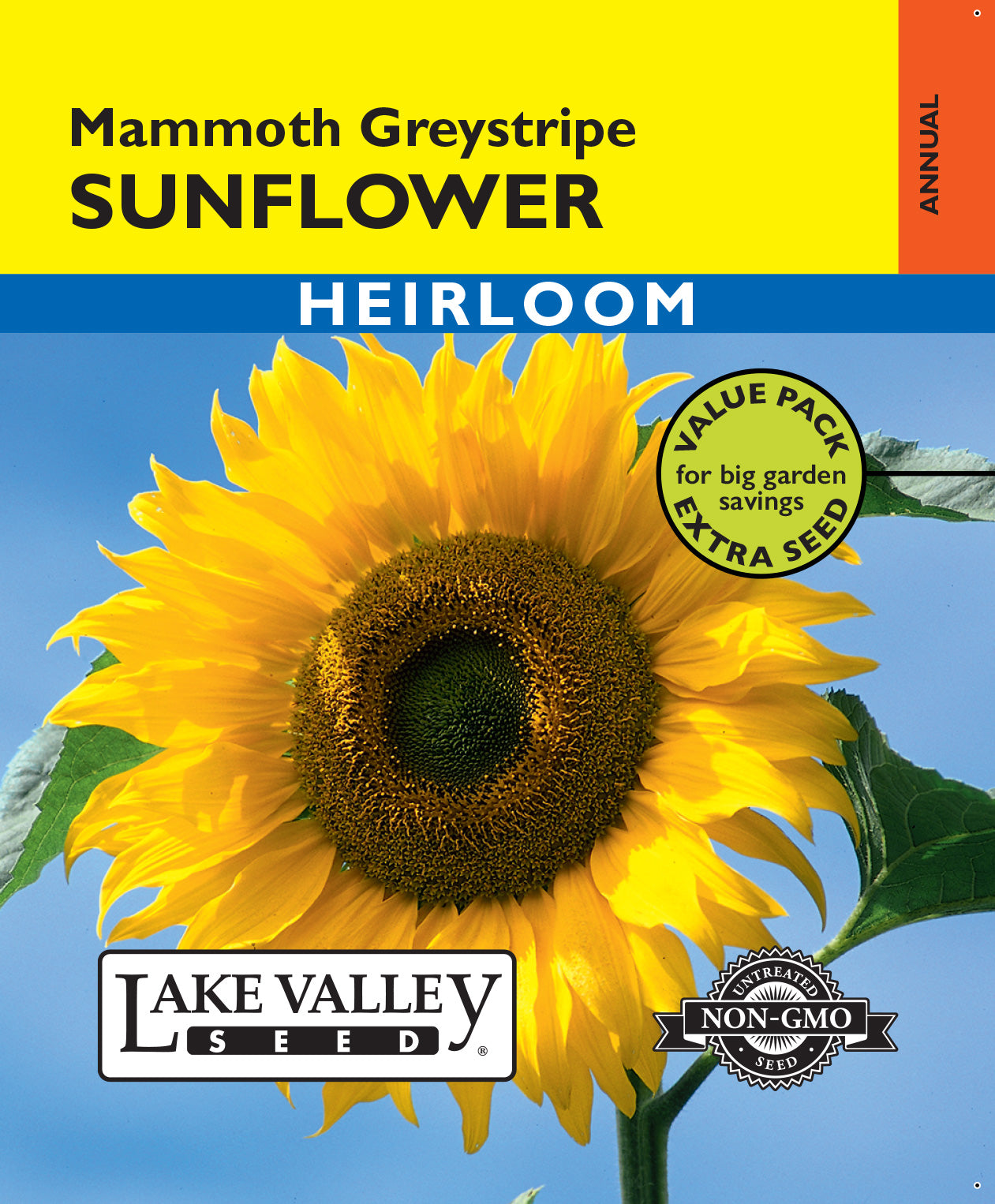 Sunflower Mammoth Greystripe - Item #499
