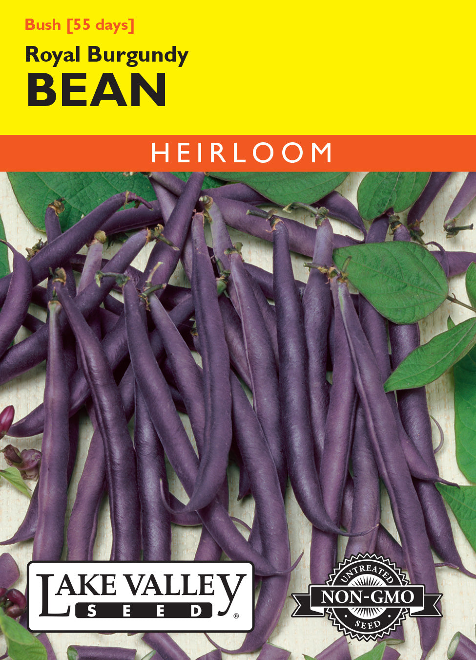 Bean (Bush) Royal Burgundy (Purple) - Item #512