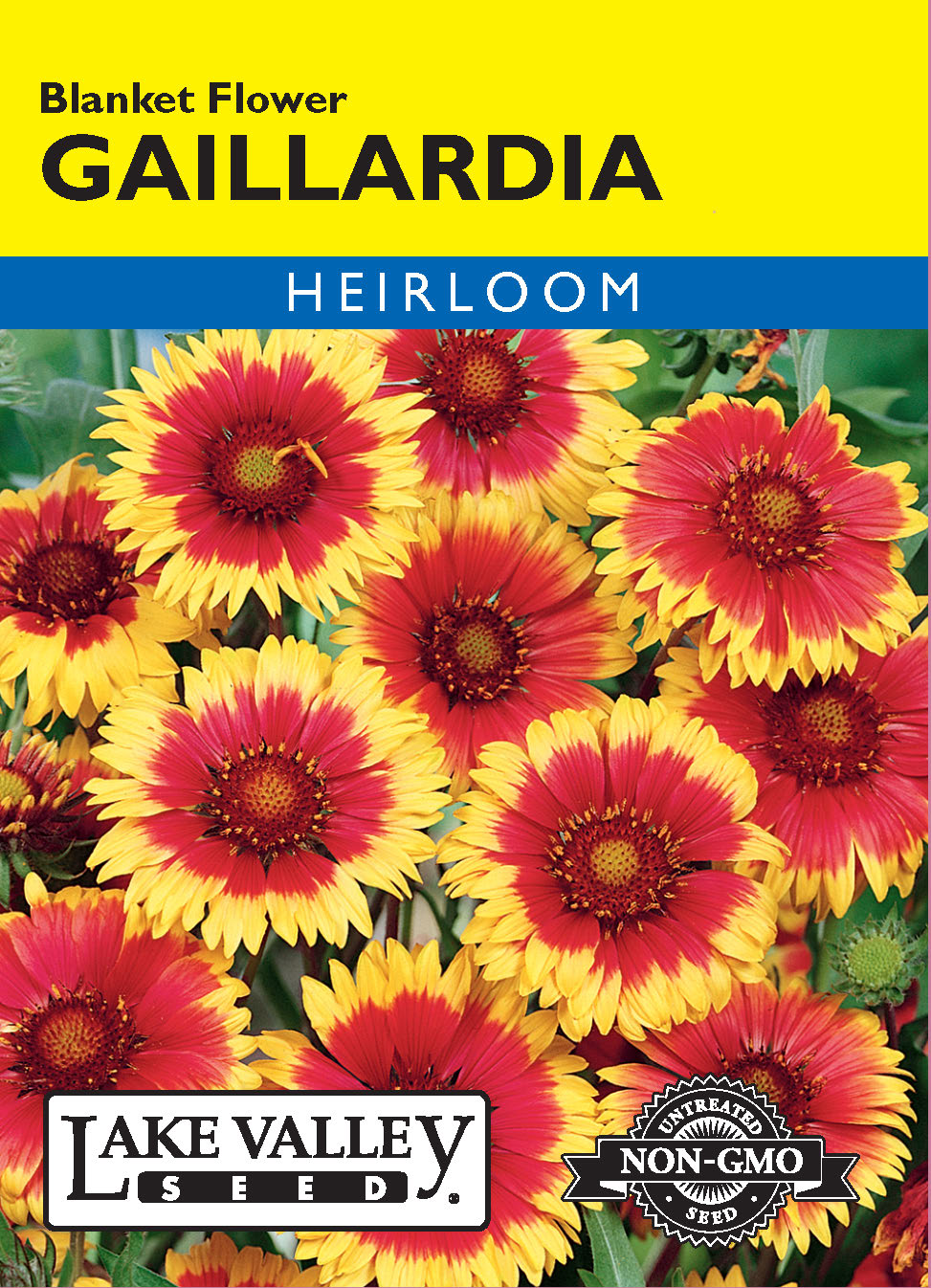 Gaillardia Blanket Flower - Item #51