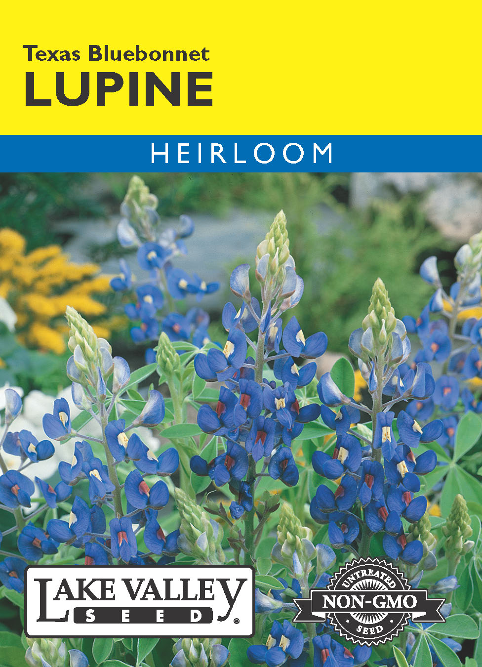 Lupine Texas Bluebonnet - Item #52