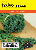 Broccoli Raab Spring Rapini - Item #524