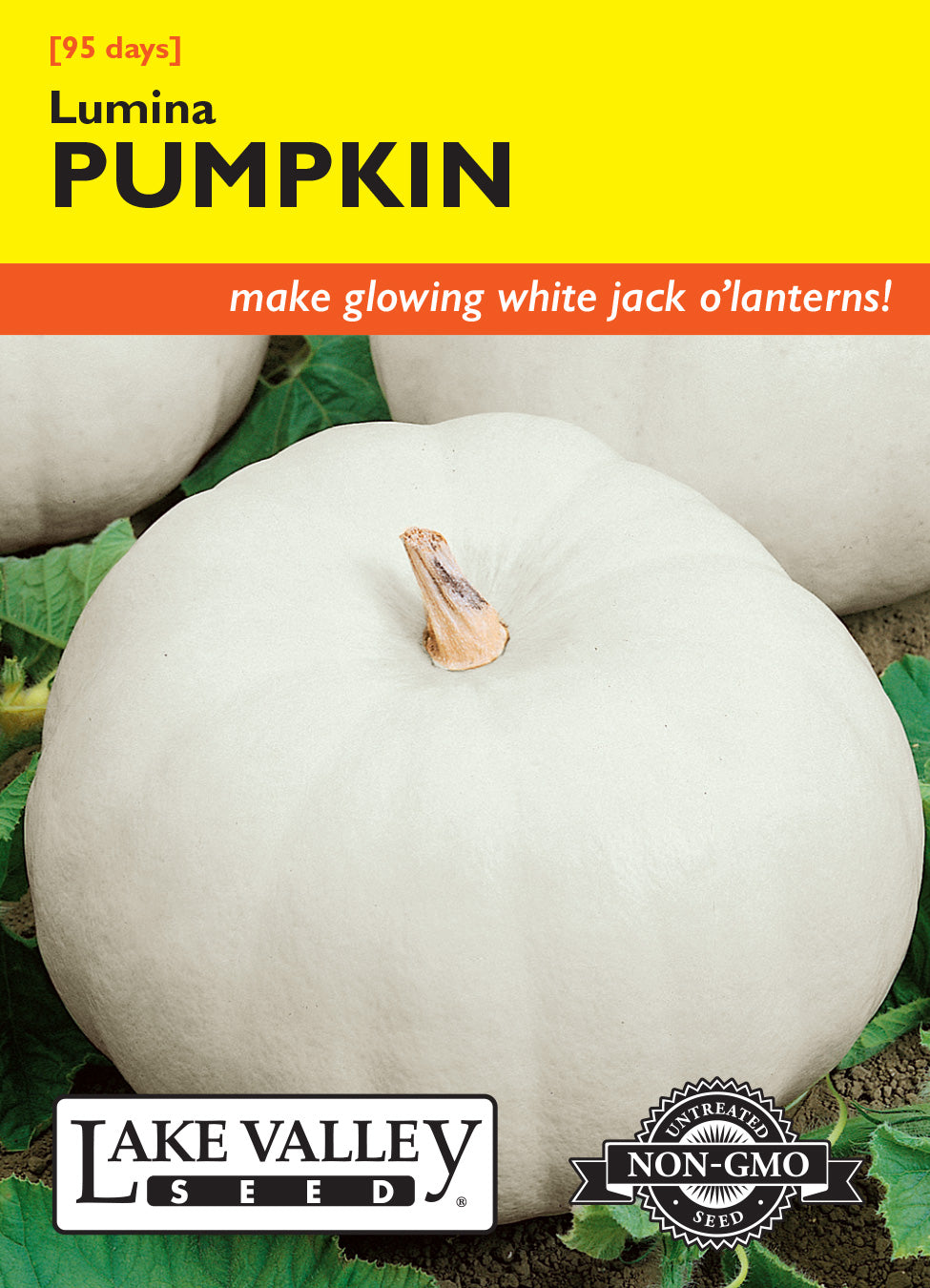 Pumpkin Lumina (White) - Item #525