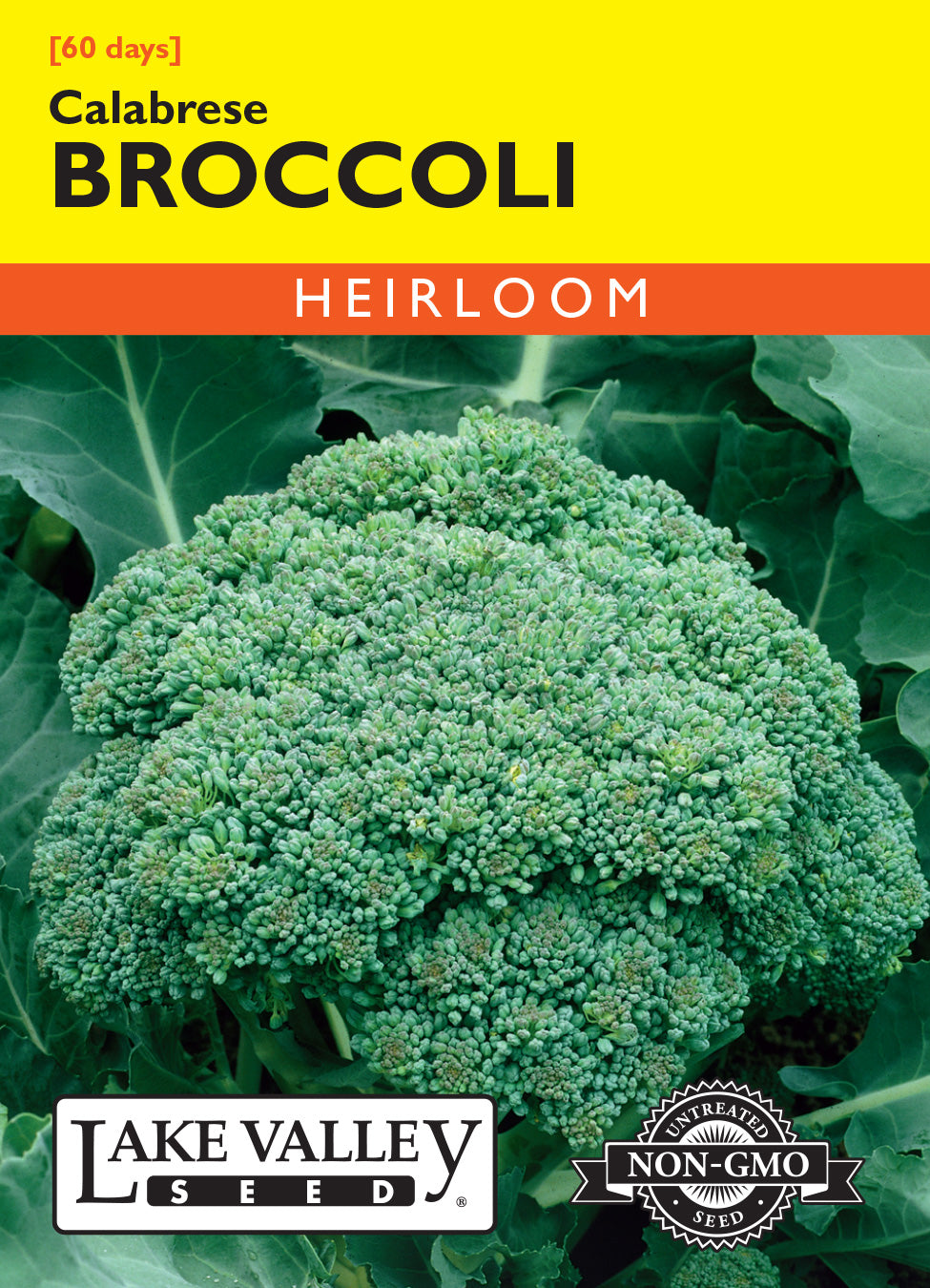 Broccoli Calabrese - Item #55