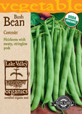 Bean (Bush) Contender - Item #554