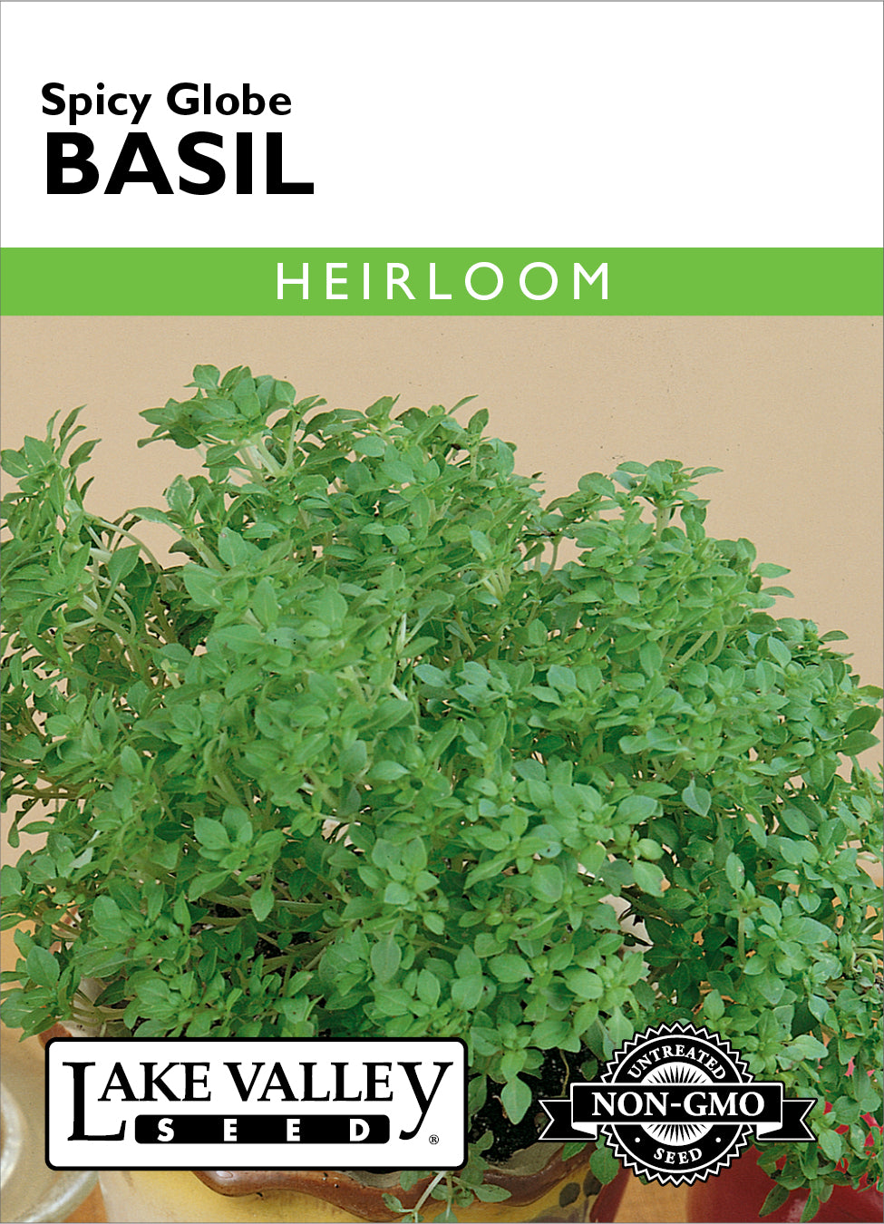 Basil Spicy Globe - Item #569
