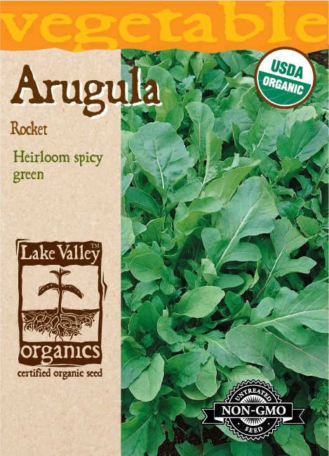 Arugula Rocket - Item #573