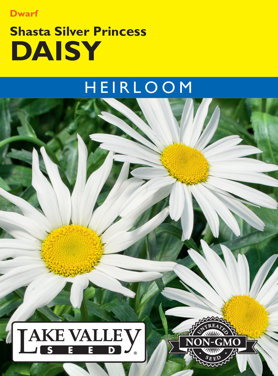 Daisy Shasta Silver Princess - Item #587