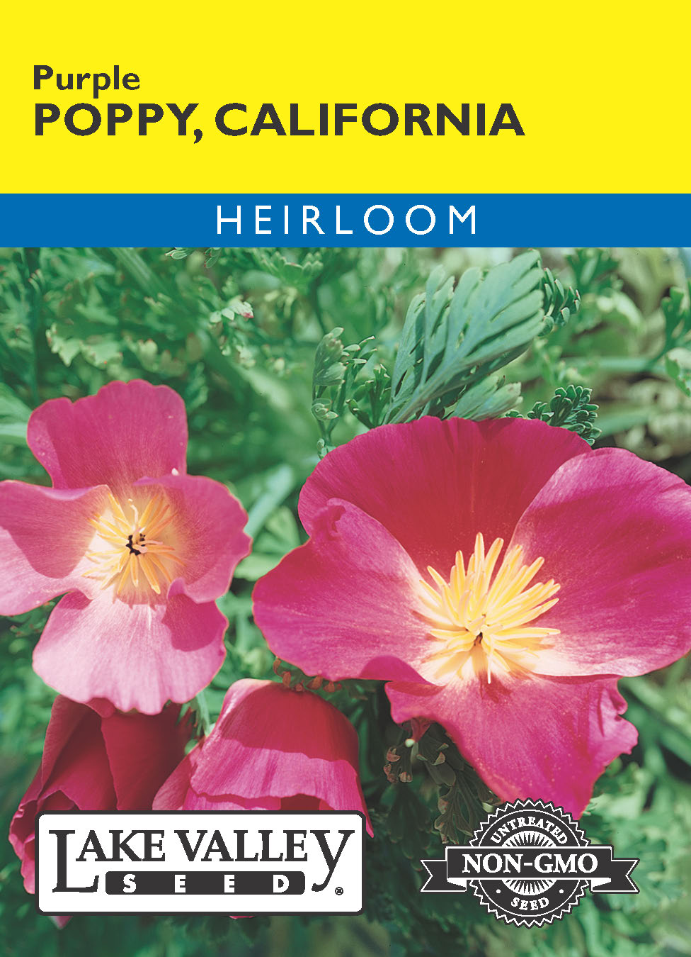 Poppy California Purple - Item #595