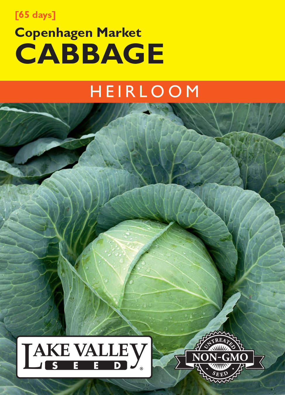 Cabbage Copenhagen Market - Item #60