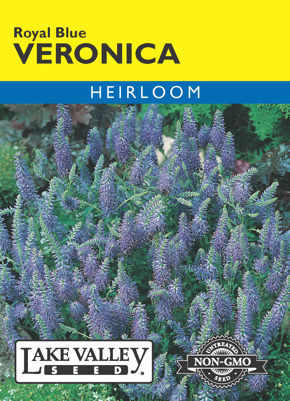 Veronica Royal Blue - Item #606