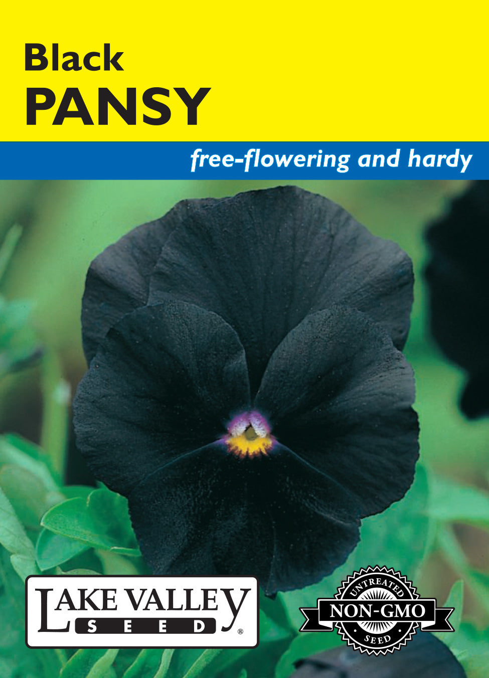 Pansy Black - Item #609