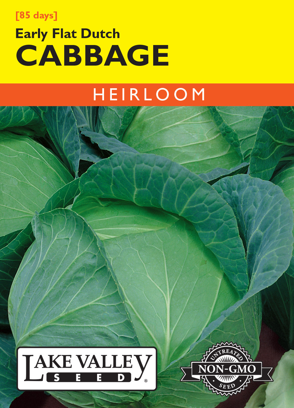 Cabbage Early Flat Dutch - Item #61