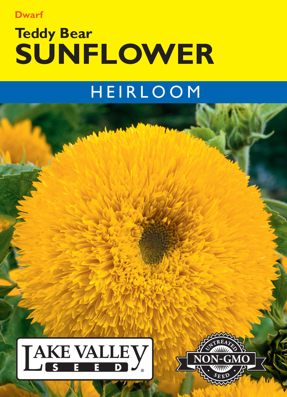 Sunflower Teddy Bear - Item #611