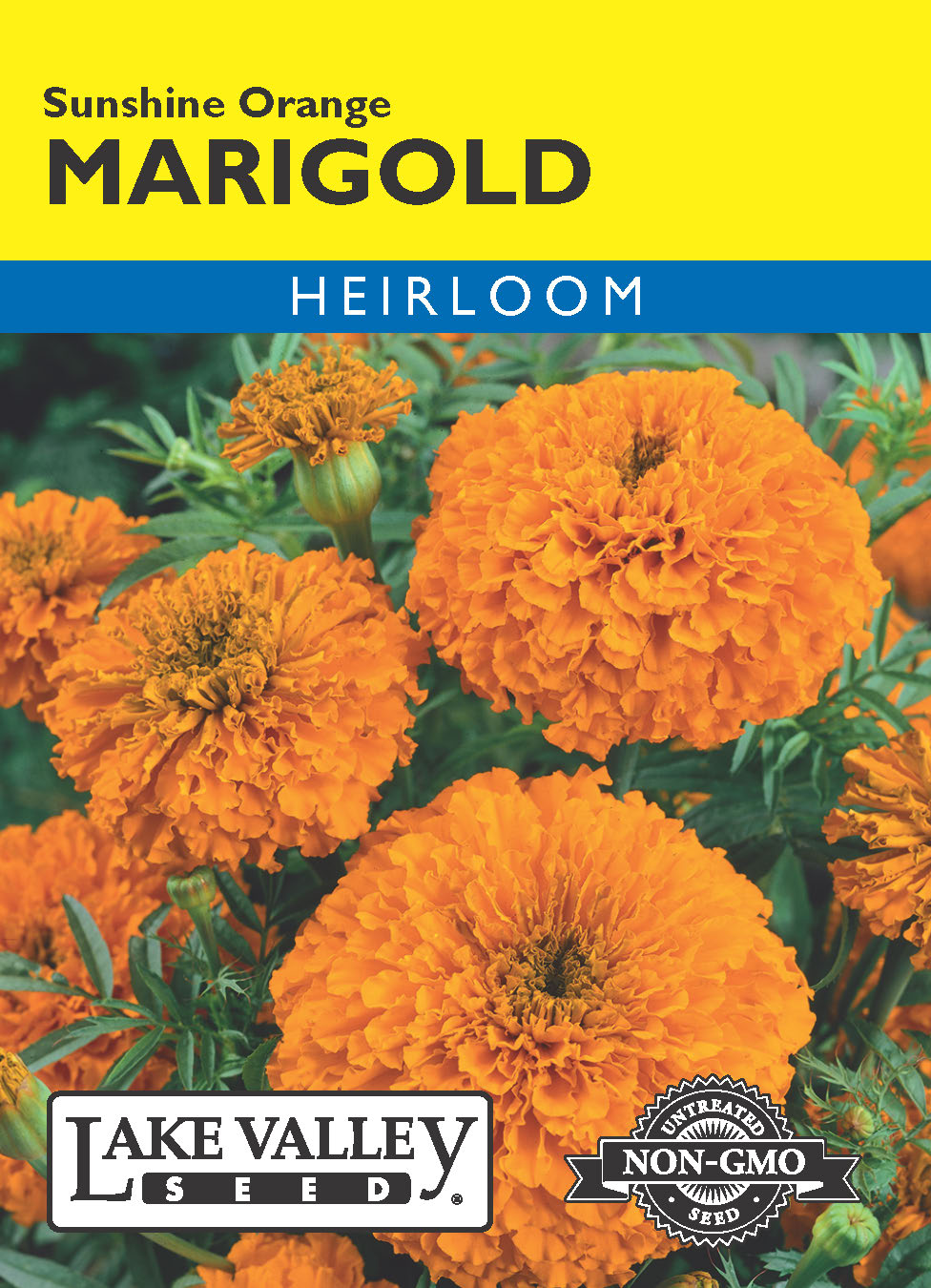 Marigold Sunshine Orange - Item #613
