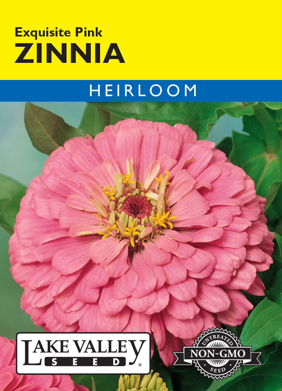 Zinnia Exquisite Pink - Item #615