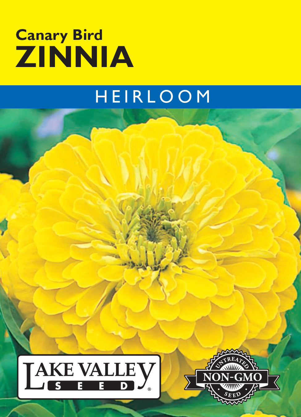 Zinnia Canary Bird - Item #618