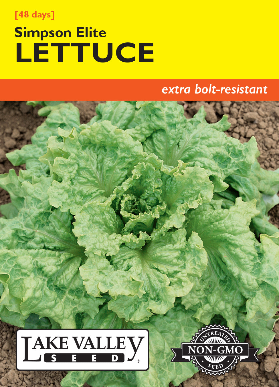 Lettuce Simpson Elite - Item #623