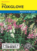 Foxglove Foxy Dwarf Mixed Colors - Item #626