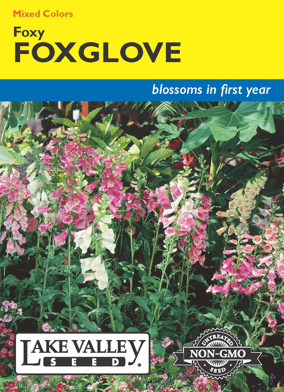 Foxglove Foxy Dwarf Mixed Colors - Item #626