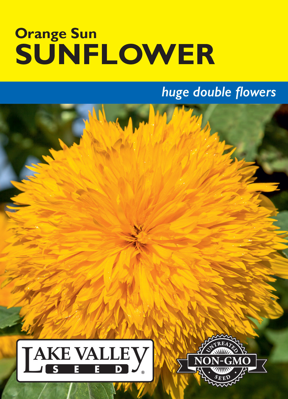 Sunflower Orange Sun Double - Item #637