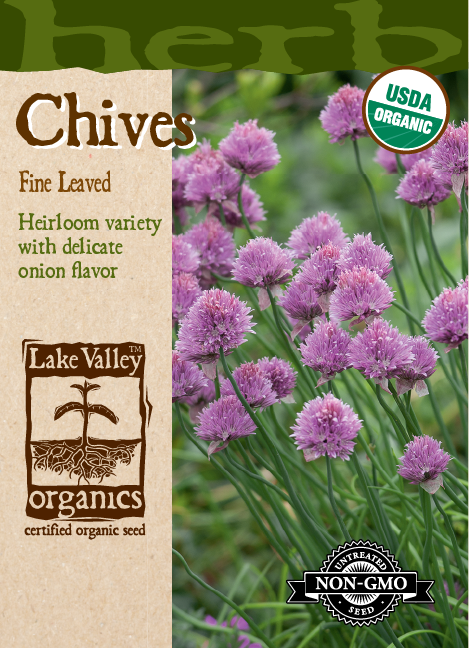 Chives Fine Leaved - Item #639