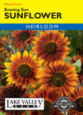 Sunflower Evening Sun Mixed Colors - Item #642