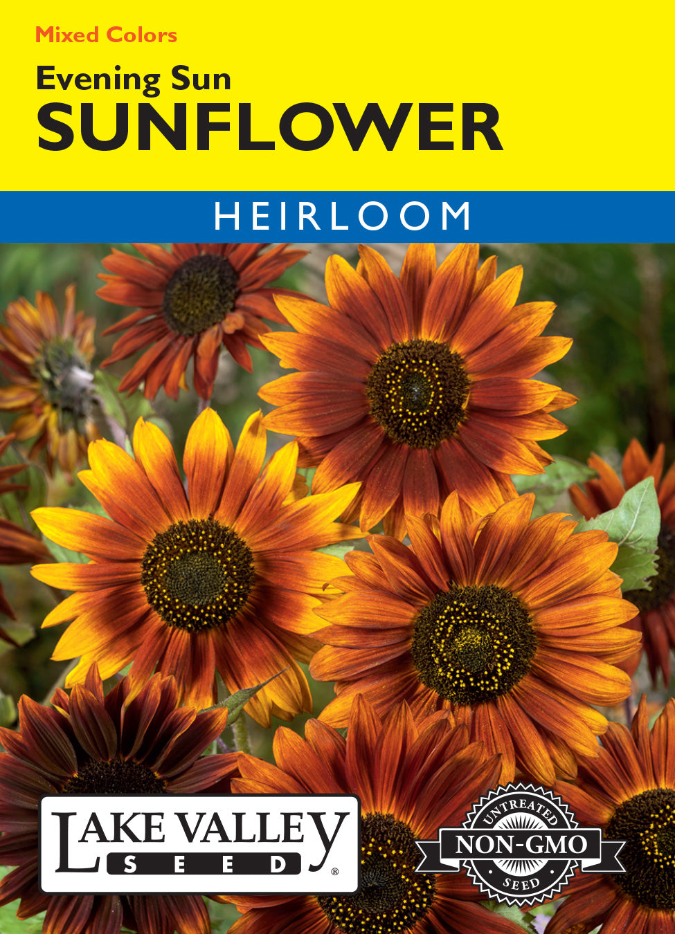 Sunflower Evening Sun Mixed Colors - Item #642
