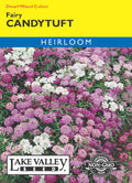Candytuft Fairy Dwarf Mixed Colors - Item #65