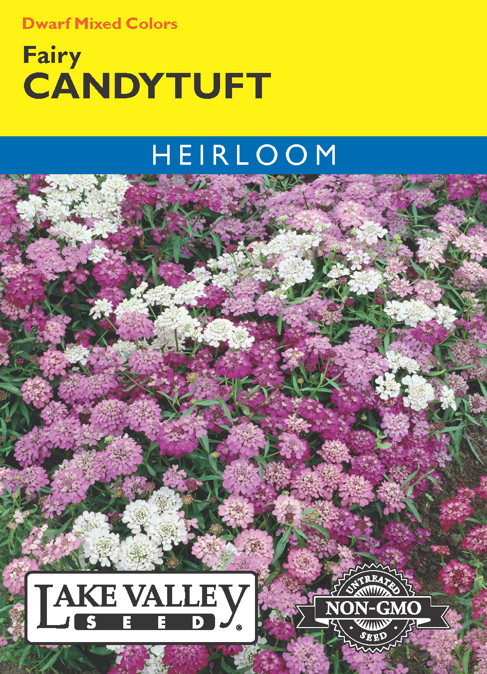 Candytuft Fairy Dwarf Mixed Colors - Item #65